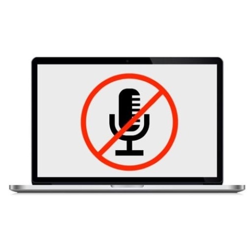 Laptop Speaker and Microphone Repair
